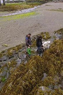 Profilový obrázek - Urchin Divers Move Their Family Business to Alaska