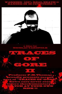 Profilový obrázek - Traces of Gore II
