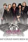 Aerosmith: What Could Have Been Love 
