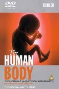 Profilový obrázek - Lidské tělo