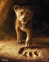 Lví král 