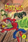 Senzační Spiderman (2008)