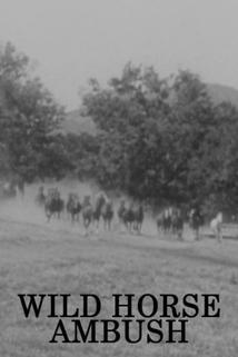 Profilový obrázek - Wild Horse Ambush
