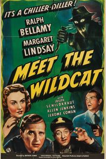 Profilový obrázek - Meet the Wildcat