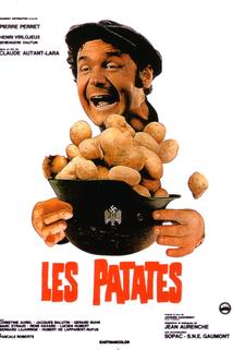 Profilový obrázek - Patates, Les