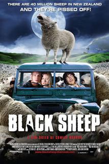 Profilový obrázek - Black Sheep