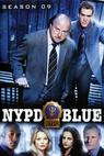 Policie New York 