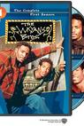 "The Wayans Bros." (1995)