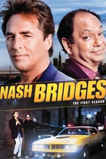 Profilový obrázek - Detektiv Nash Bridges