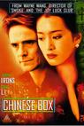 Čínský hlavolam (1997)