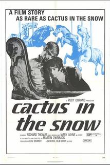 Profilový obrázek - Cactus in the Snow