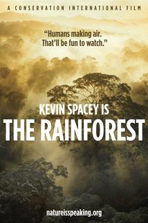 Profilový obrázek - The Rainforest