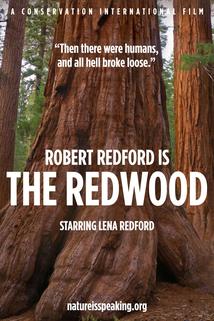 Profilový obrázek - The Redwood