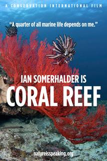 Profilový obrázek - Coral Reef