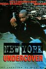 New York Undercover 