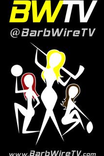 Profilový obrázek - BarbWire TV