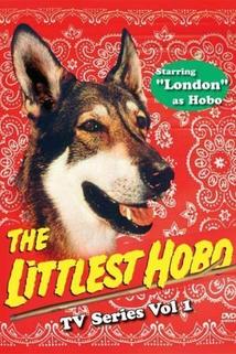 The Littlest Hobo  - The Littlest Hobo