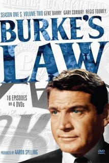 Profilový obrázek - Burke's Law