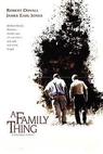 Rodinná záležitost (1996)