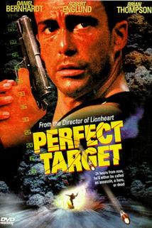 Perfect Target  - Perfect Target