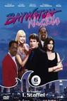Baywatch Nights (1995)