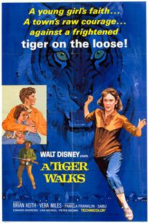 A Tiger Walks  - A Tiger Walks