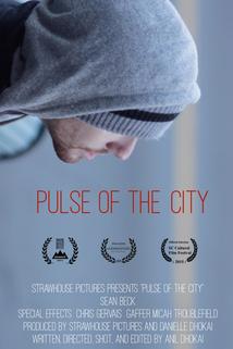 Profilový obrázek - Pulse of the City