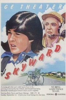 Profilový obrázek - Skyward