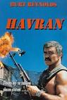 Havran (1997)