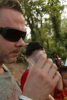 Profilový obrázek - Laos: Giant Huntsman Spider