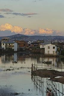 Profilový obrázek - Madagascar: Aye-Aye Lemur