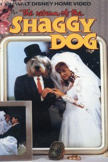 Profilový obrázek - The Return of the Shaggy Dog