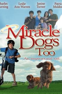 Profilový obrázek - Miracle Dogs Too