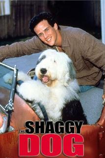 Profilový obrázek - The Shaggy Dog