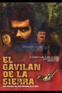 Profilový obrázek - Gavilán de la sierra, El