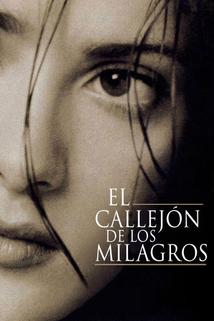 Profilový obrázek - Callejón de los milagros, El