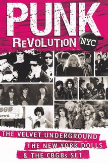 Profilový obrázek - Punk Revolution NYC