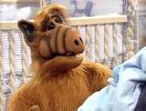 ALF