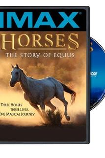 Profilový obrázek - Horses: The Story of Equus