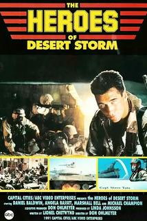 Profilový obrázek - The Heroes of Desert Storm