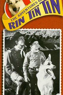 Profilový obrázek - The Adventures of Rin Tin Tin