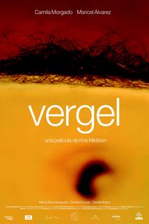 Profilový obrázek - Vergel