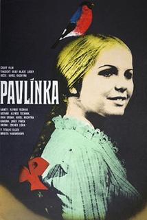 Profilový obrázek - Pavlínka