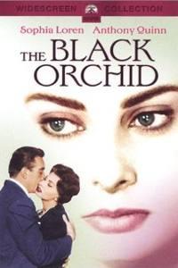 The Black Orchid 