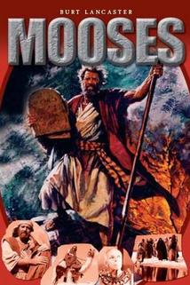 Profilový obrázek - Mojžíš