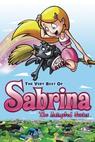 Sabrina the Animated Series 