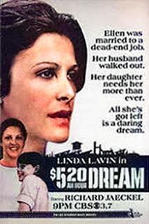 Profilový obrázek - The $5.20 an Hour Dream