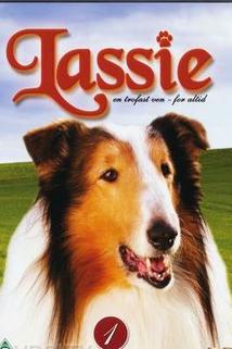 Profilový obrázek - New Lassie, The