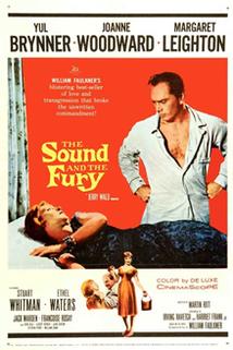 Profilový obrázek - Sound and the Fury, The