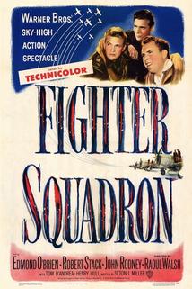Profilový obrázek - Fighter Squadron